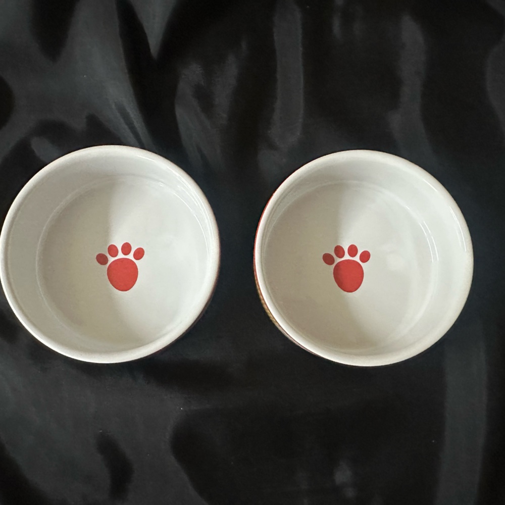 Petrageous Designs Stoneware Set